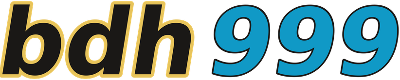 bdh999 logo